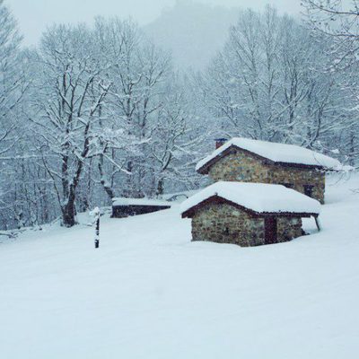 100 días de soledad