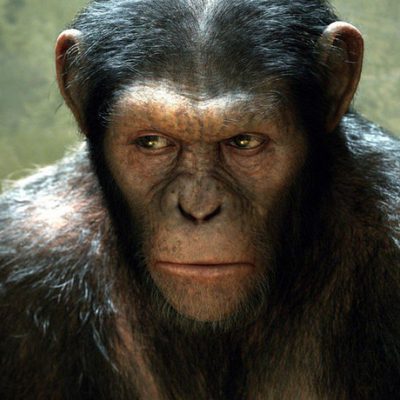 El planeta de los simios