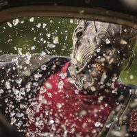 Jeepers Creepers 3