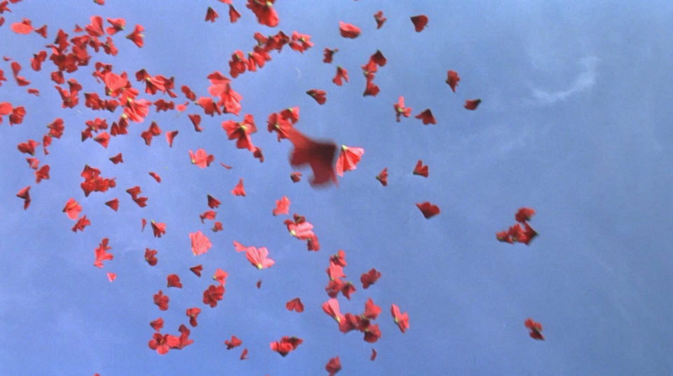 Sonatine