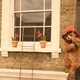 Paddington 2
