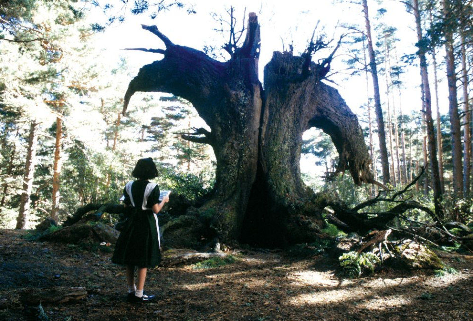 El laberinto del Fauno