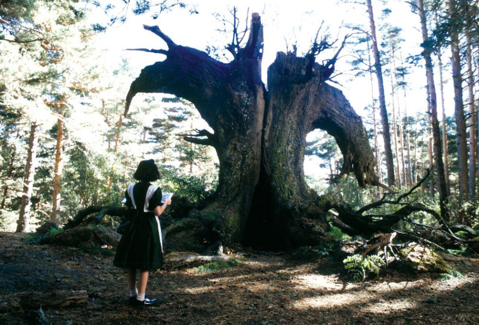 El laberinto del Fauno
