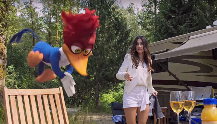 El pájaro loco