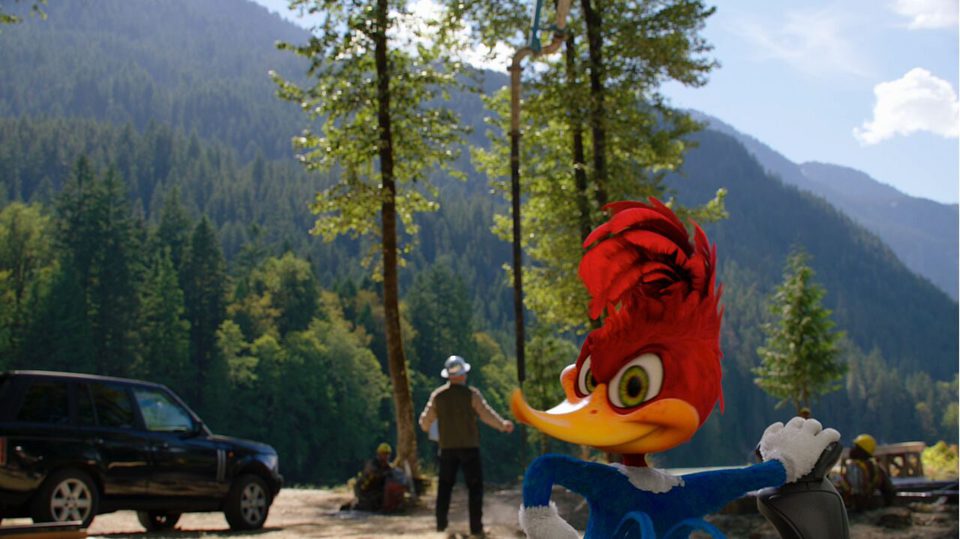 El pájaro loco