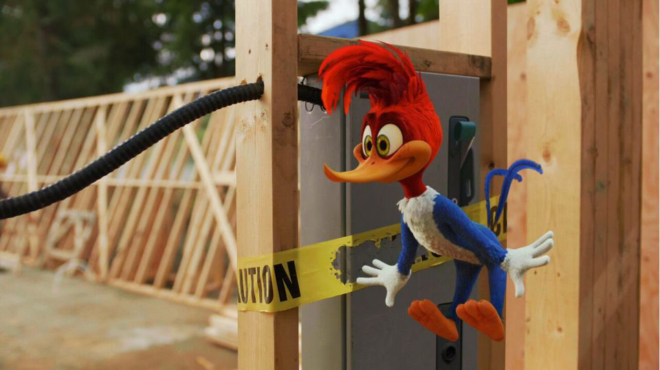 El pájaro loco