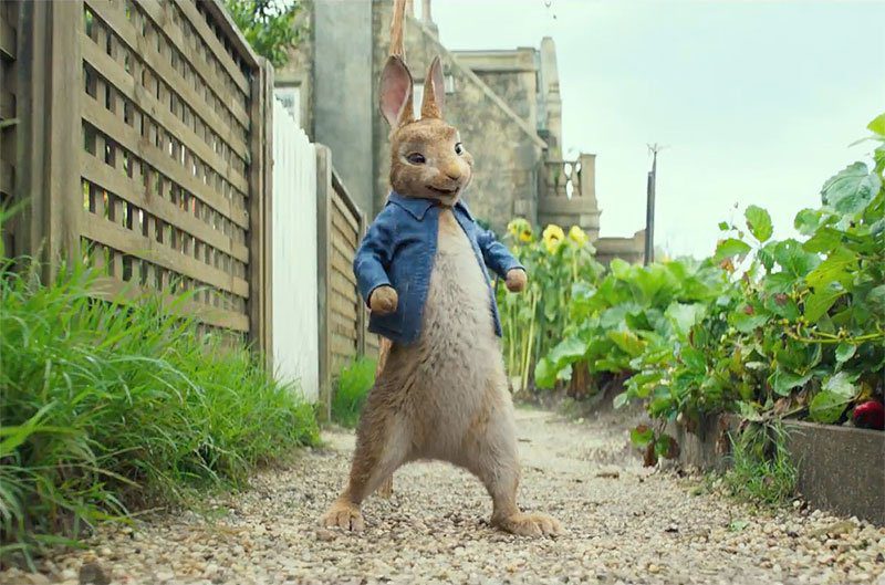 Peter Rabbit