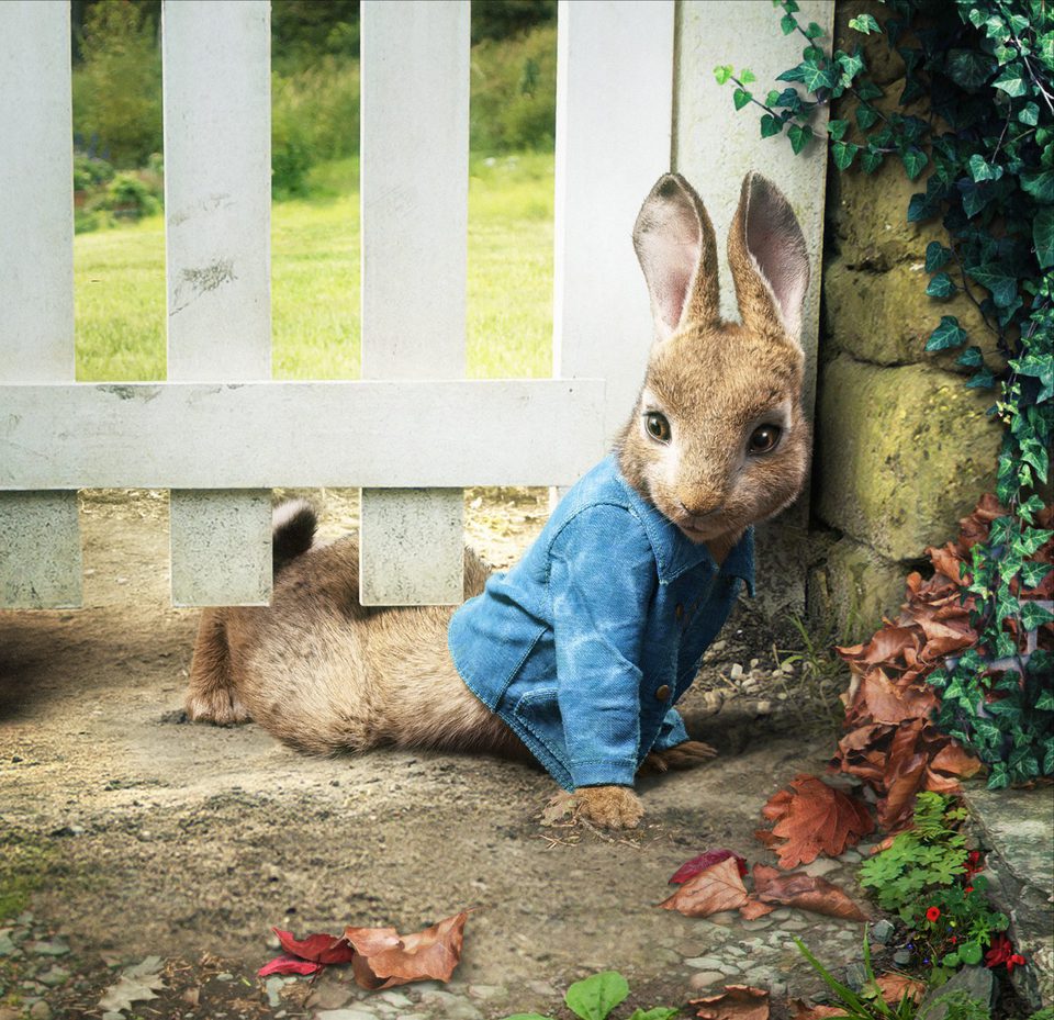 Peter Rabbit