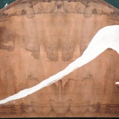 Julian Schnabel: un retrato privado