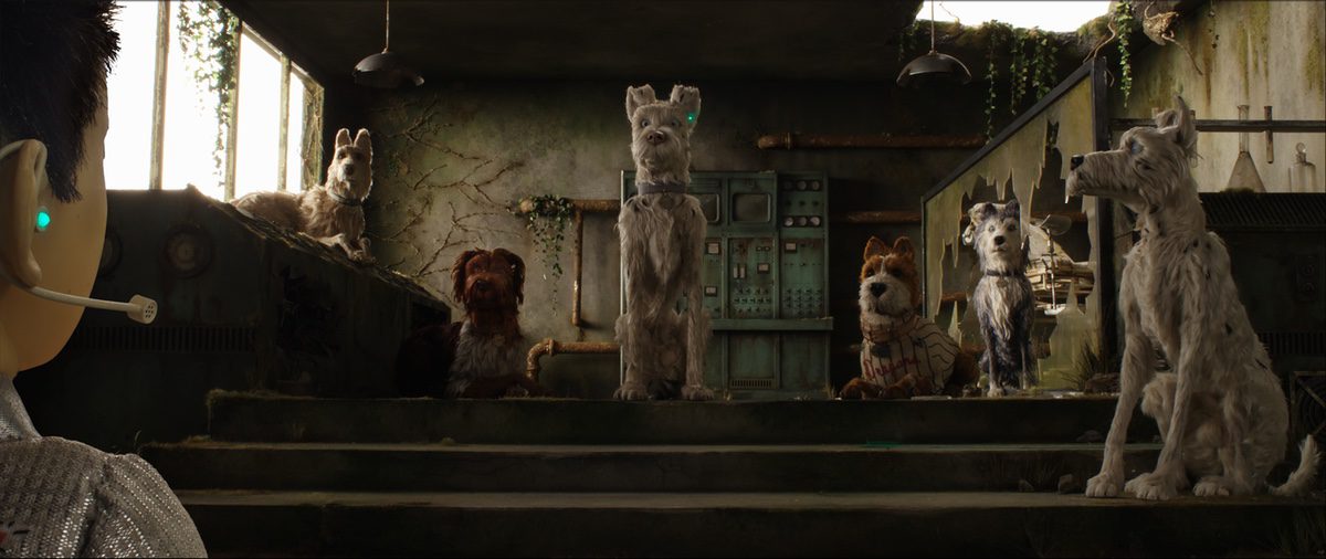 Isla de perros