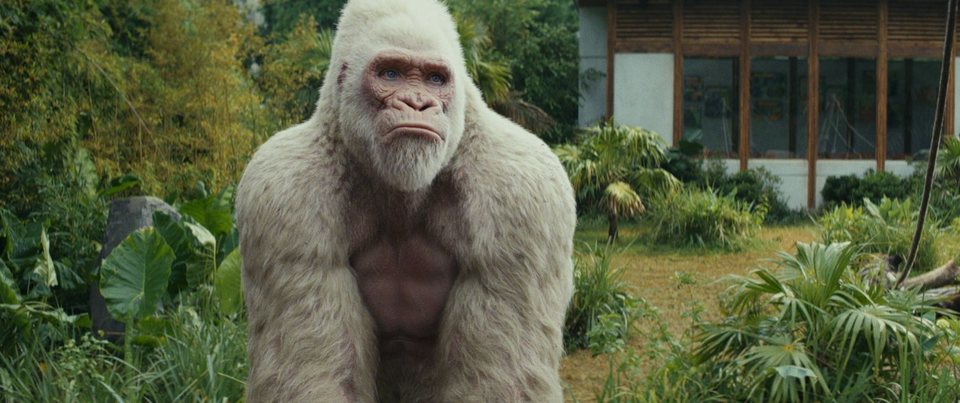 Proyecto Rampage
