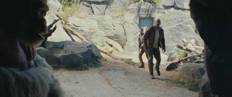 Proyecto Rampage