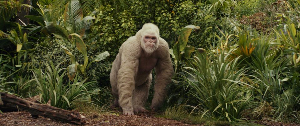 Proyecto Rampage