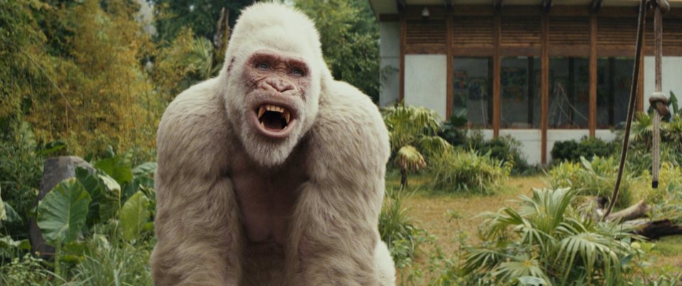 Proyecto Rampage