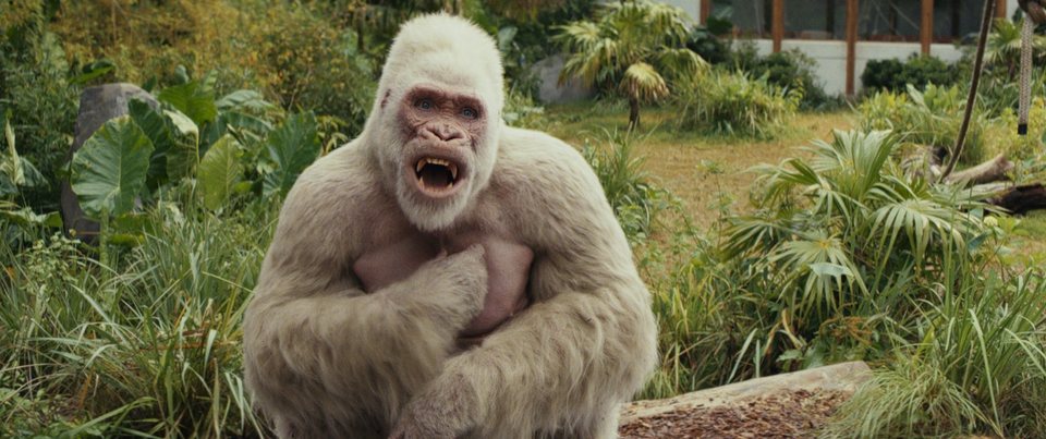 Proyecto Rampage