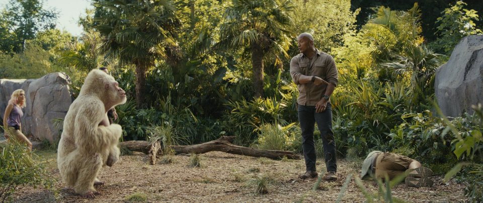 Proyecto Rampage