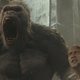 Proyecto Rampage