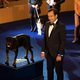 Superagente canino