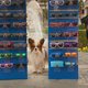 Superagente canino