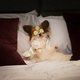 Superagente canino