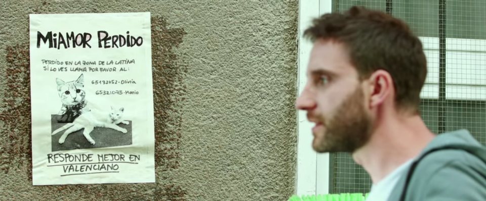 Miamor perdido