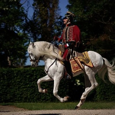 Un seductor a la francesa