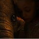 Dumbo