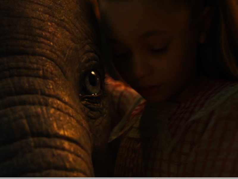 Dumbo