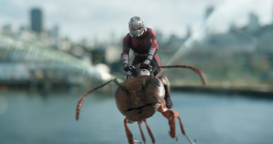 Ant-Man y la Avispa