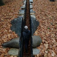 Leaning Into the Wind: Andy Goldsworthy