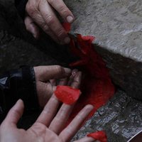 Leaning Into the Wind: Andy Goldsworthy