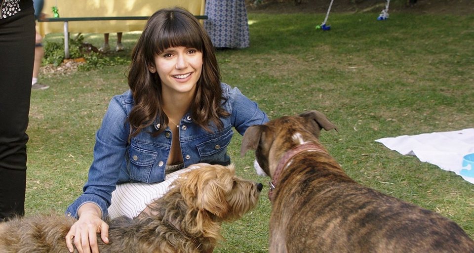 I Love Dogs