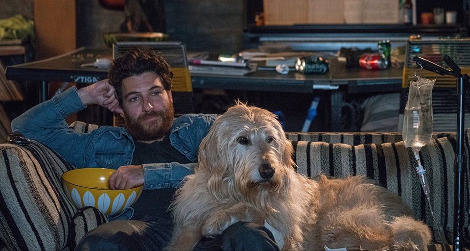I Love Dogs