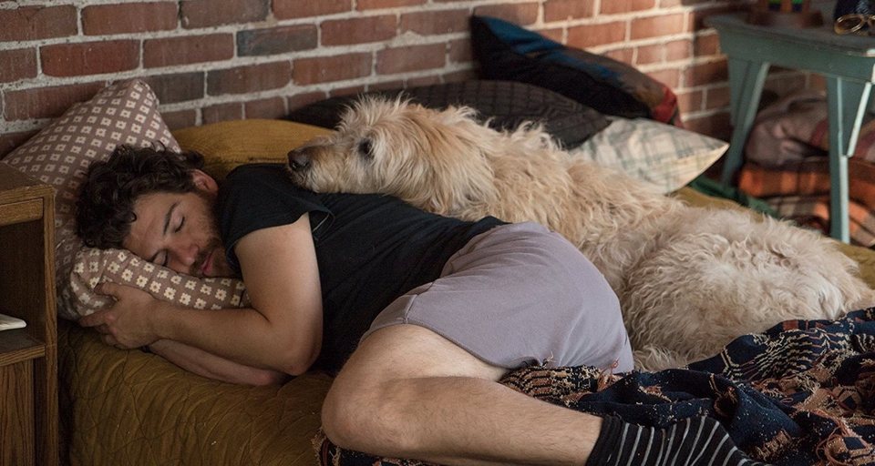 I Love Dogs