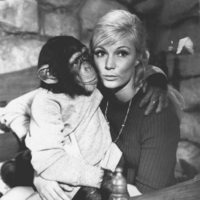 La invasión de los monos