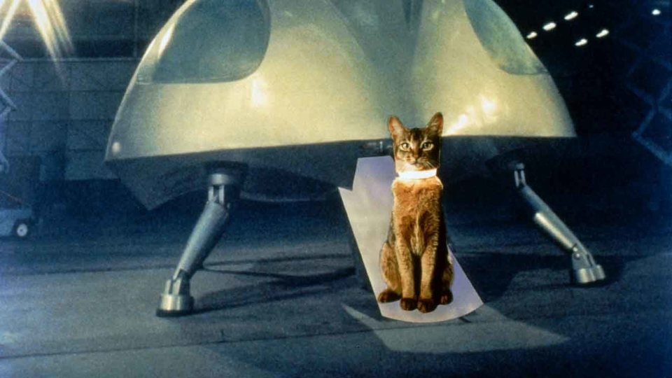 El gato que vino del espacio