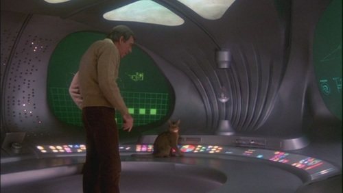 El gato que vino del espacio