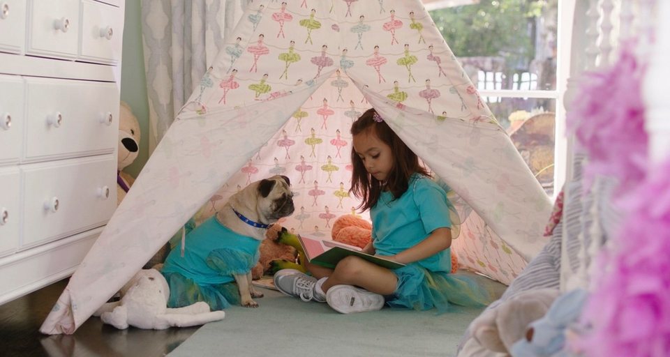 I Love Dogs