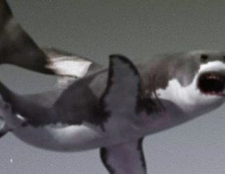 El fenómeno de Twitter 'Sharknado' tendrá secuela