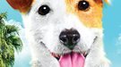'Pancho, el perro millonario' estrena póster con Ivan Massagué y Patricia Conde