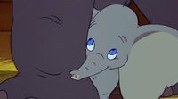 Disney comienza a preparar una nueva versión de 'Dumbo' con actores reales