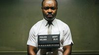 Una encuesta revela que varios miembros de la Academia no han visto todas las candidatas a mejor película de los Oscar 2015