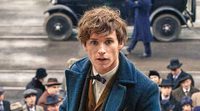Nueva imagen de Eddie Redmayne en 'Animales fantásticos y dónde encontrarlos'