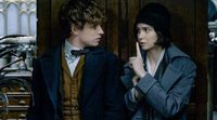'Animales fantásticos': El guion de J.K. Rowling revela una muerte que no se vio en la película