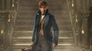 Newt Scamander desmiente una teoría de 'Animales Fantásticos y Donde Encontrarlos' sobre Dumbledore