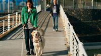 'No me chilles que no te veo' y otros 9 títulos de ficción sobre la ceguera
