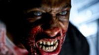 Sección Oficial de Sitges 2009