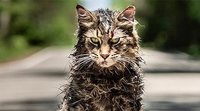 Descubre lo terrorífica que es 'Cementerio de animales' en esta nueva featurette