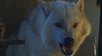 'Juego de Tronos': Fantasma volverá a aparecer en la octava temporada