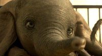 Unboxing: El steelbook del remake de 'Dumbo' es un circo, en el mejor sentido